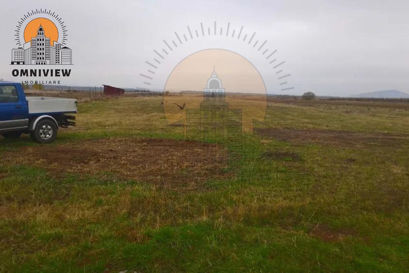 Teren intravilan Dobolii de Jos 47.700 mp | PUZ+autorizație | POT 50%