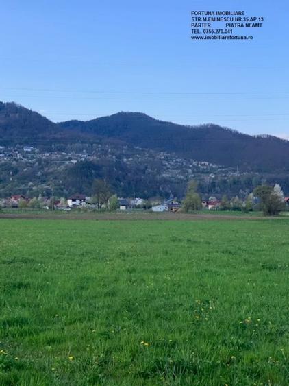 Teren Vadurele, Al.cel Bun
