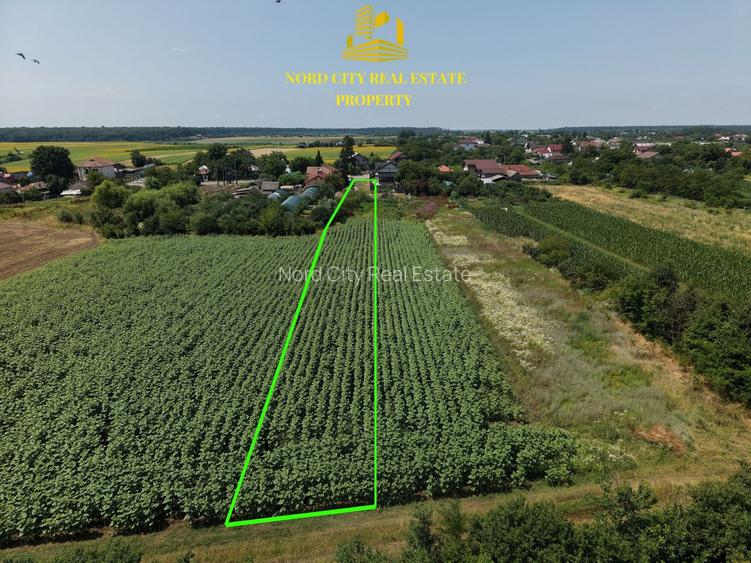 Teren 2.700 mp Ciocănești - Urziceanca | La asfalt - 4