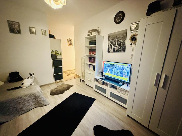 Apartament 2 camere Str Tineretului mobilat și utilat complet zona liniștită