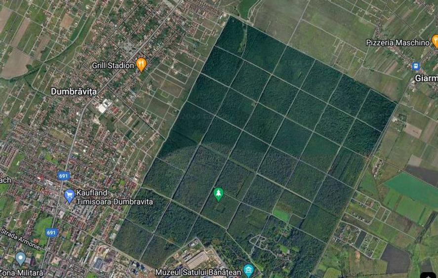 Teren la Padurea Verde in Dumbravita