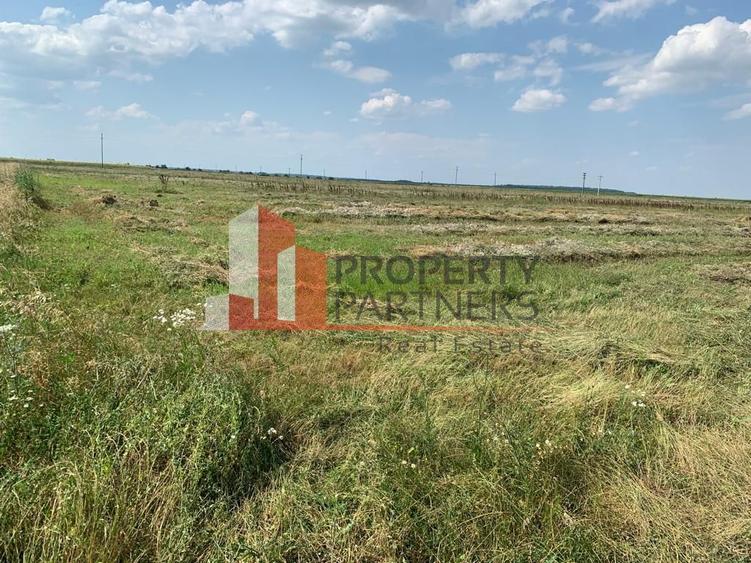 Teren pentru investitii rezidentiale, Moara Vlasiei, Caciulati, A3