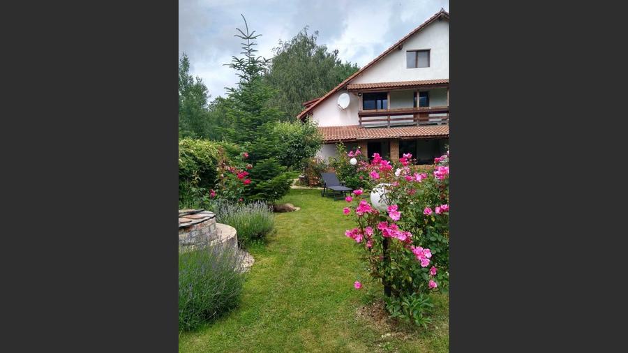 House for sale, 5 Rooms, 180 sqm, Valea Dejani