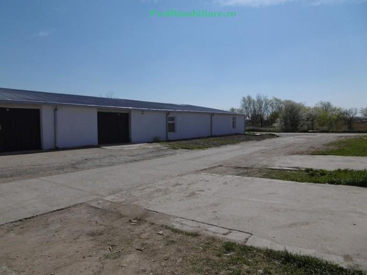 Hale de inchiriat intre 100-1000 mp in Arad