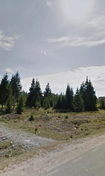 Teren de vanzare Belis1300mp Strada principala Intravilan - 2