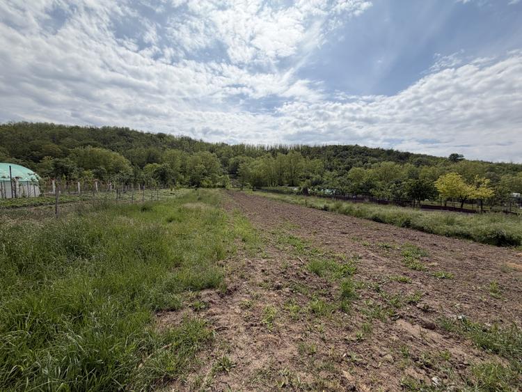 Teren Intravilan 3.514 mp | SAT CIUGUD | Oportunitate | TOATE UTILITATILE |