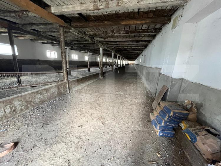 Ferma de bovine - oportunitate pentru investitori sau fermieri profesionisti