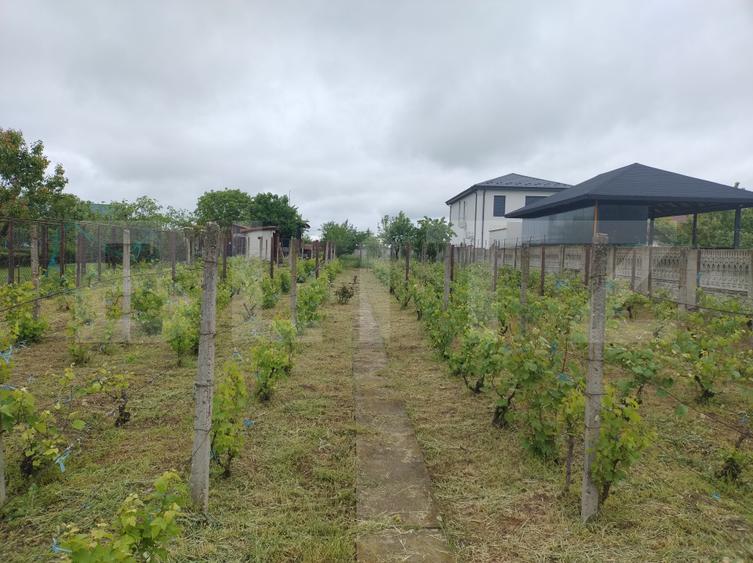 Teren utilități, 1.236 mp, 16.6 m deschidere, zona Cârcea