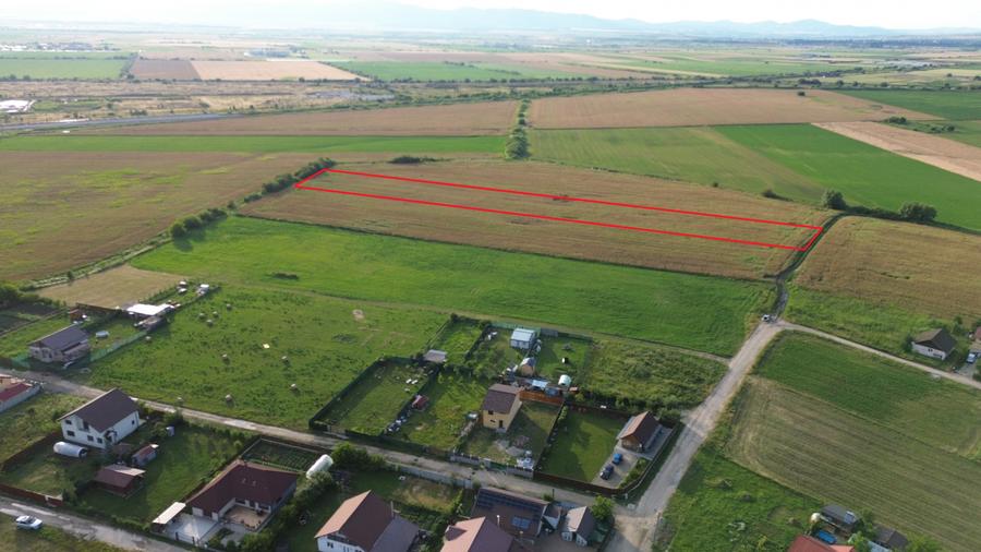 Teren 10.000 mp str. Lalelelor, Bod, Brasov pentru case