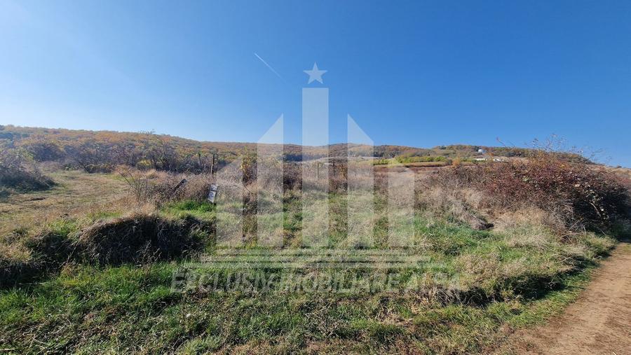 Teren intravilan | De vanzare | 3900 mp | 17 ml deschidere | Cetate
