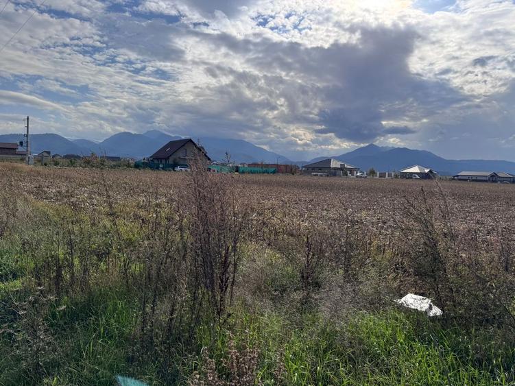 Teren dezvoltare rezidentiala Tarlungeni - zona Izvor