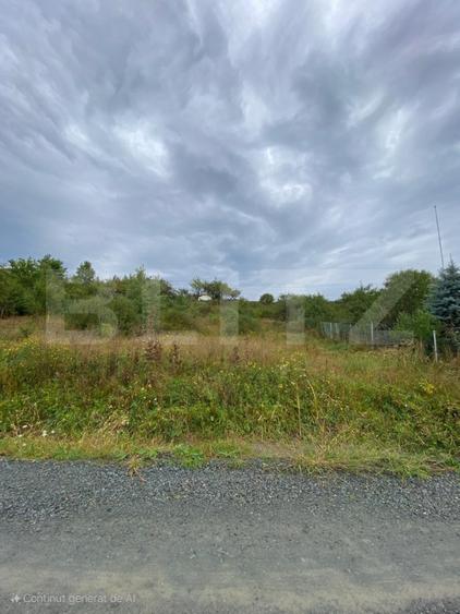 Teren intravilan 9.8 ari – Valea Rusului-Zona Pensiunea Morariu