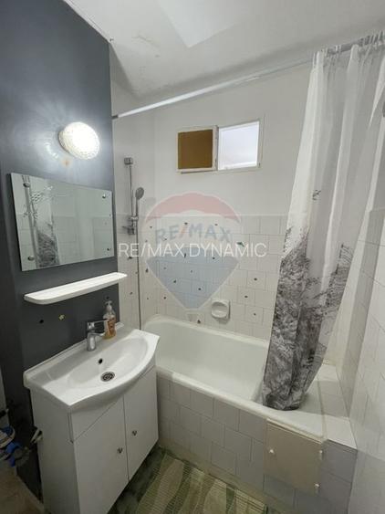 Apartament cu 1 camera in Micalaca - 4