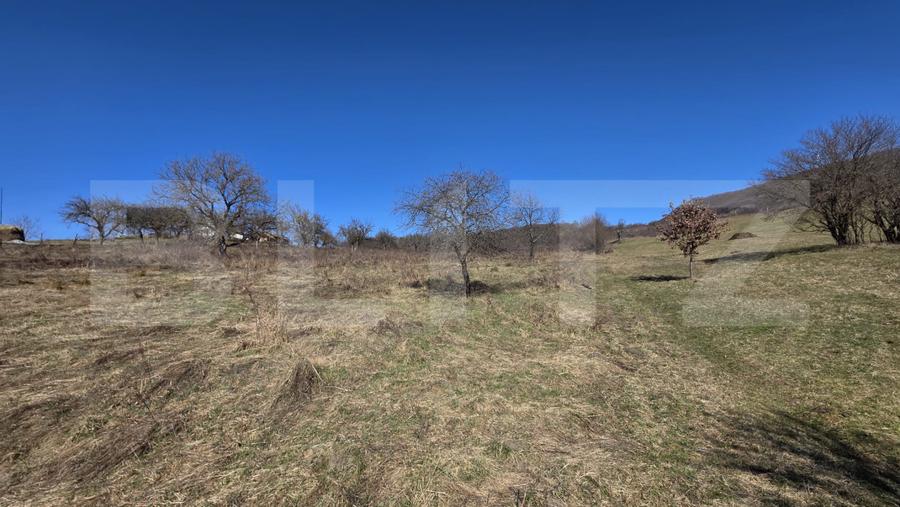 Teren de vanzare de 8,567MP in zona: Tarpiului