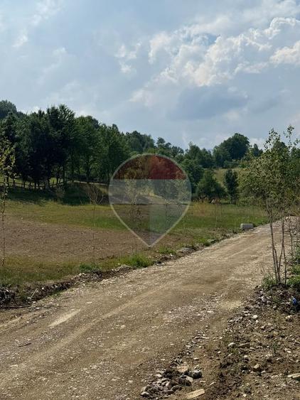 Teren 1,000mp Sohodol, cu utilitati / Strada Sohodol