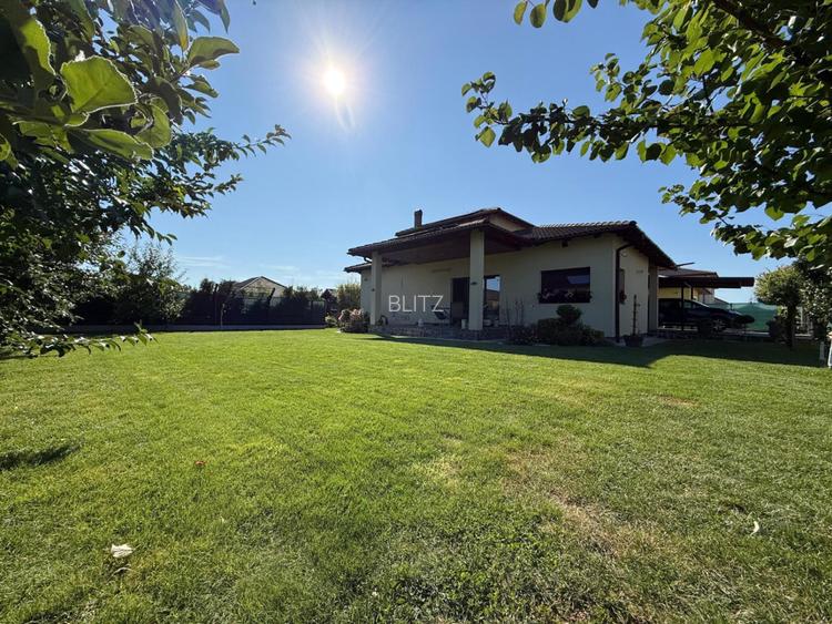 Casa de vanzare, 160 mp, garaj, teren de 7 ari, zona Satu Nou de Jos - 9
