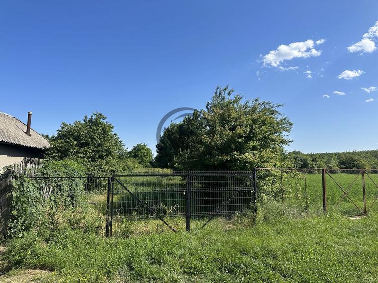 Teren intravilan de vanzare | 11.000 mp | Ghirdoveni | Comision 0%