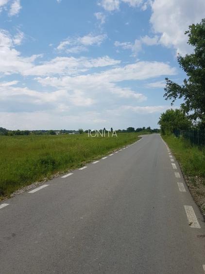 Teren de vanzare  7.400mp Ciolpani -Intravilan 300m de la DN1 -STRADA ASFALTATA  - 3