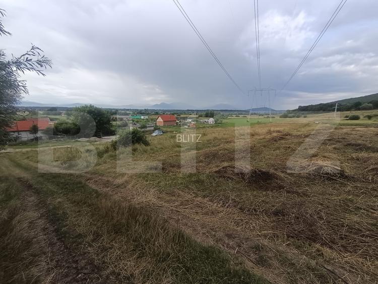 Teren 3.600 mp, ideal pentru livadă, cabană sau investiție în Podu Olt - 2