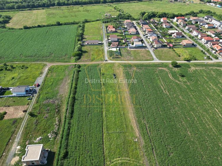 Teren intravilan pretabil pentru constructii individuale sau duplex | Ghiroda - 3