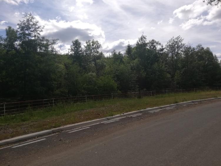 Vind teten intravilan in  Margau