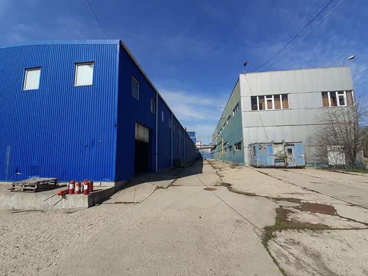 Berceni, hale dimensiuni 1800mp, 2750mp si 2900, acces facil