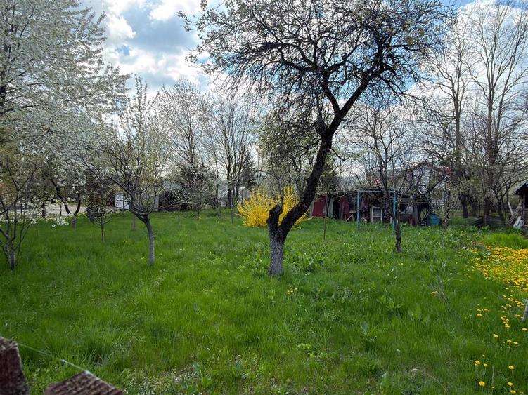 Teren intravilan construibil,Cornu Prahova -50 euro/mp