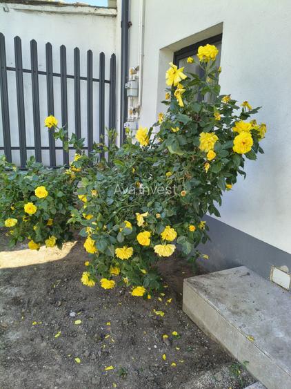 De inchiriat! Duplex nou, zona centrala - 13