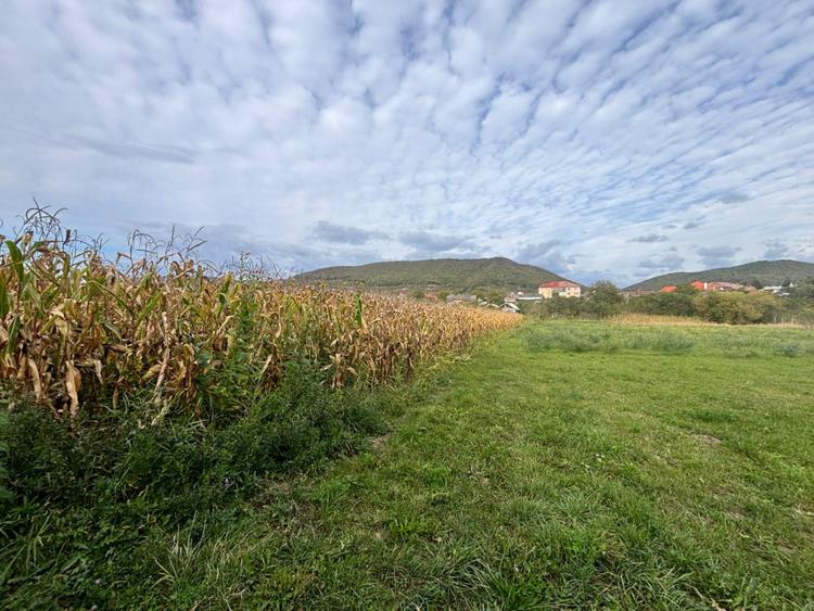 TEREN INTRAVILAN DE VÂNZARE – 2.500 MP – LA 15 KM DE BISTRIȚA