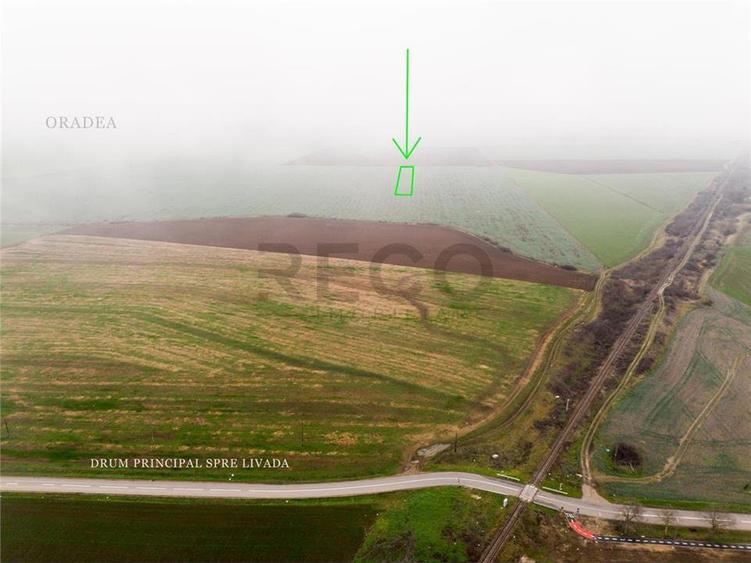 RECO Teren extravilan 5800 mp Livada de Bihor