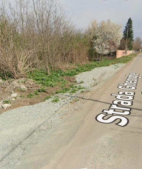 Padurisu-Calarasi-Teren intravilan