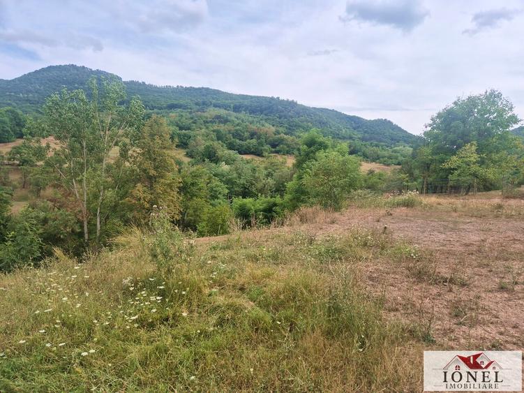 Casa noua de vanzare in Poiana Ampoiului - Metes