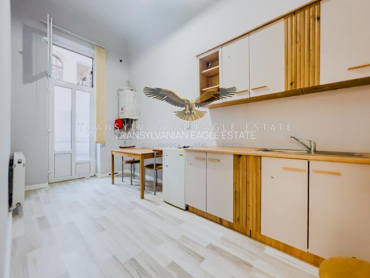 Apartament/Spatiu de birou situat pe strada Horea|ultracentrala - 5