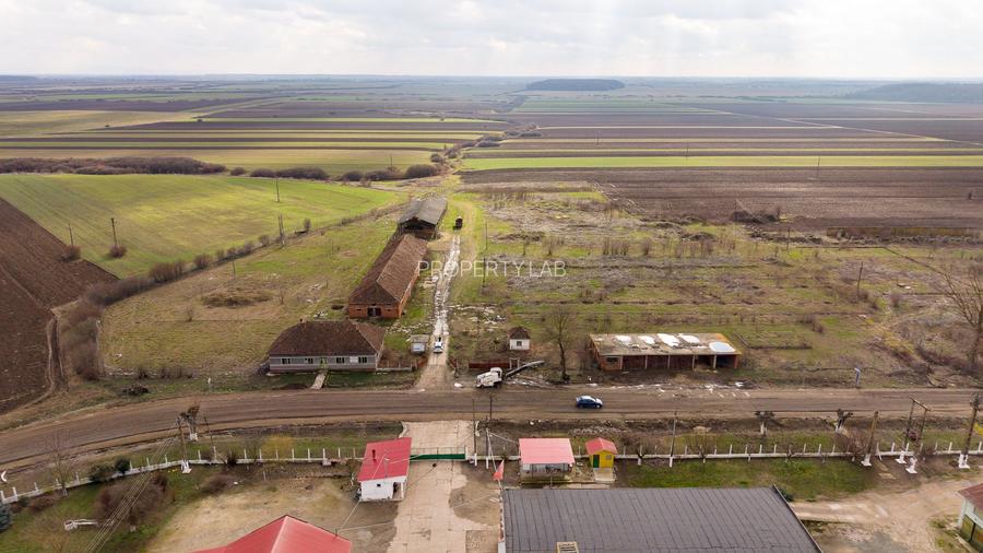 Fermă cu teren intravilan de 35000 mp în Mișca - 23