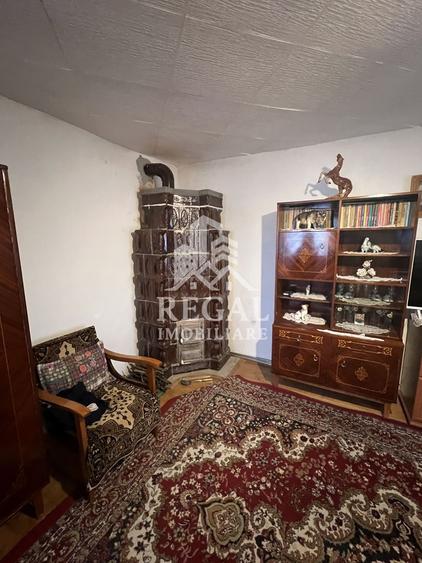 Două case individuale de vânzare în Teliuc –ideale pentru două familii