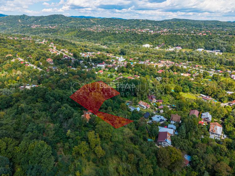 Teren 3.886 mp, Breaza - Podu Vadului, 30 m deschidere la asfalt - 13