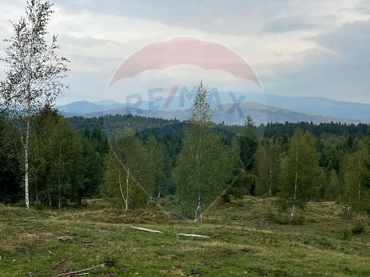Teren extravilan parcelabil Călățele Pădure, zona Dealu Negru