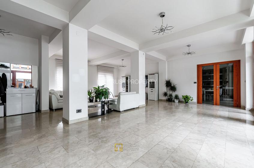 Proprietate Premium de Vanzare – Boul Roșu, 1.022 mp Utili, Arad - 6
