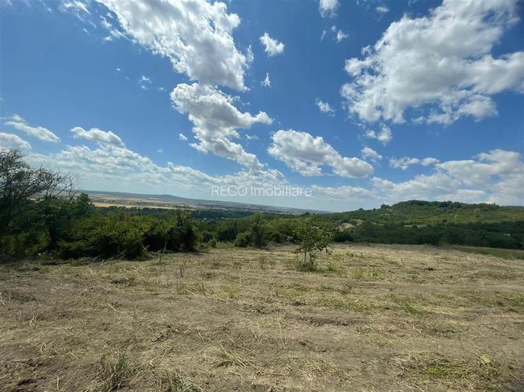 RECO Teren Extravilan Podgoria Oradea - 2