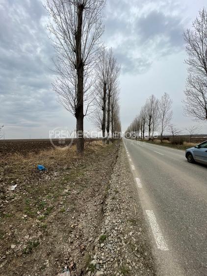 Teren extravilan 20.000mp, Miroslava, acces auto - 6