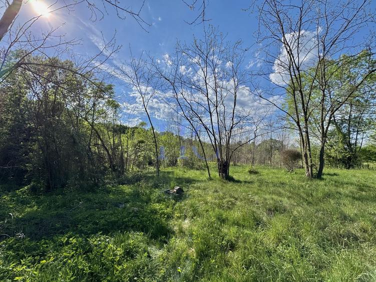 Teren de vânzare – Valea Avrigului, jud. Sibiu | 1.600 mp
