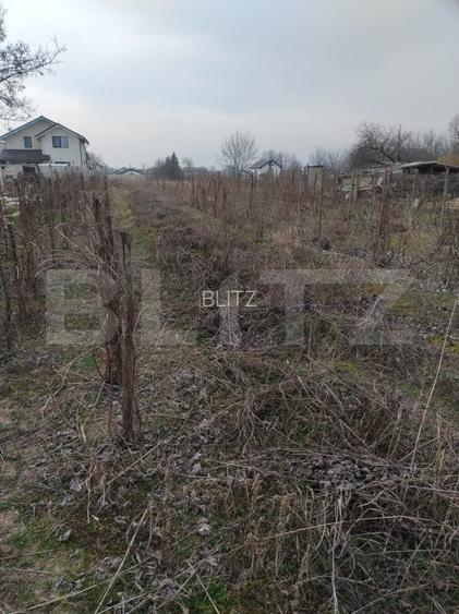 Teren intravilan 1811 mp, cu utilități, zona Malu Mare! - 3