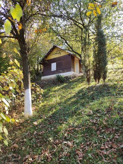 TEREN INTRAVILAN CABANA SI DEPOZIT DE UNELTE