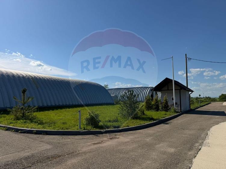 4 HALE INDUSTRIALE INDIVIDUALE SUPRAFATA TOTALA 1.407 mp, Acces DN 1