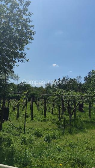 Casă bătrânească în Davideni – curte generoasă de 2.000 mp - 14