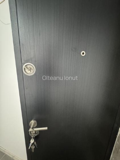 Apartament 2 camere in zona Vitan (fostul Prosper) pretabil si spatiu comercial - 3