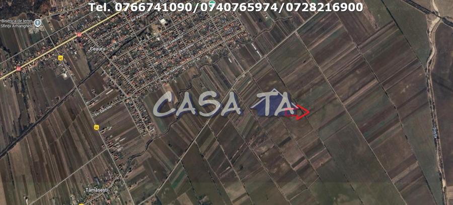 Teren Extravilan-Agricol, Balesti