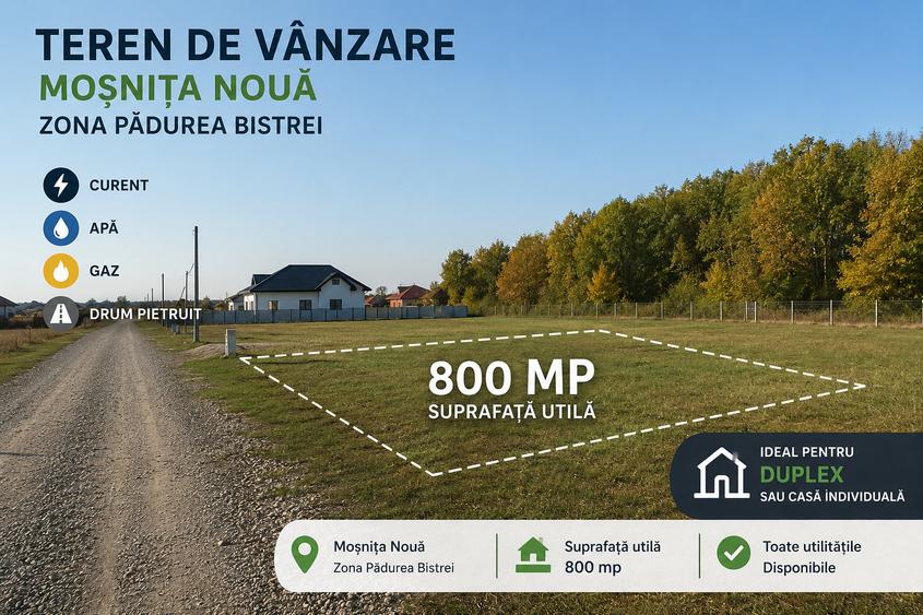 TEREN DUPLEX/INDIVIDUALA, 800MP , PADUREA BISTRA