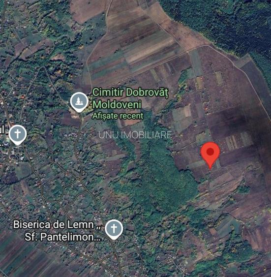 Teren 3600 mp extravilan Dobrovăț, Iași - 1.6 euro/mp, Negociabil, Priveliște Panoramică