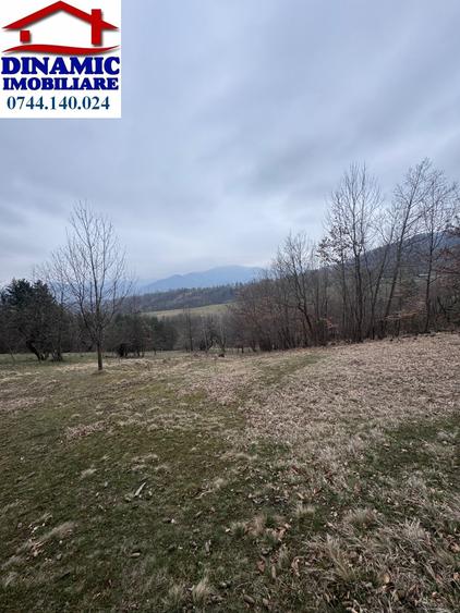 6000 MP intravilan, sat Bistrita, 9 Eur/MP